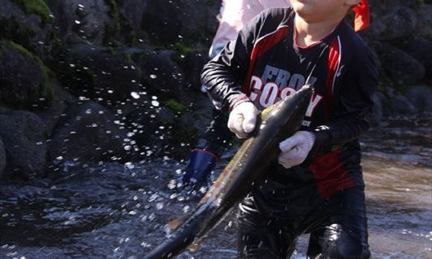 鮭のつかみ取り大会